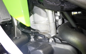KAWASAKI ZX-4RR 2024 ZX400P