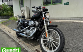 HARLEY XL883 2004 CAM