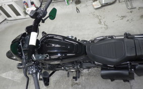 HARLEY RH975S 2024