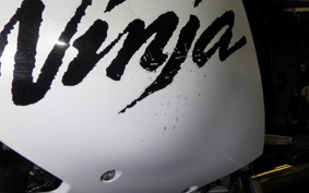 KAWASAKI ZX 1400 NINJA R A 2020