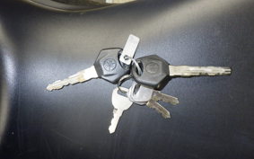 YAMAHA YZF-R25 A RG43J