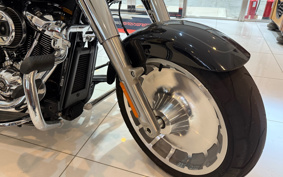 HARLEY  HARLEY FLFBS 2021 YGK