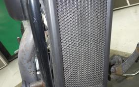 HONDA STEED 400 2025 NC26