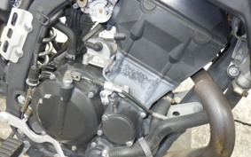 KAWASAKI KLX250D TRACKER X 2023 LX250V