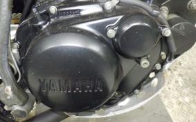 YAMAHA TW200 Gen.2 2007 DG07J