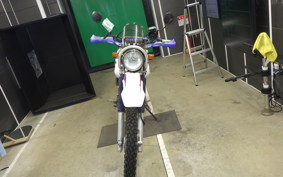 YAMAHA TT250R RAID 4GY