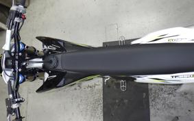 TRIUMPH TF250-X