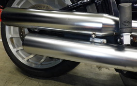 HARLEY FLFB 1750 2019