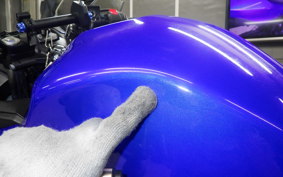 SUZUKI GSX250RA 2022