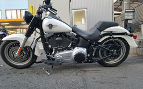 HARLEY HARLEY FLSTFB 2010 JN5