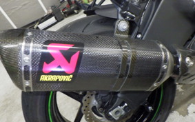 KAWASAKI NINJA ZX-6R A 2021 ZX636G