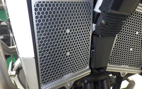 TRIUMPH TIGER 900 RALLY PRO 2022