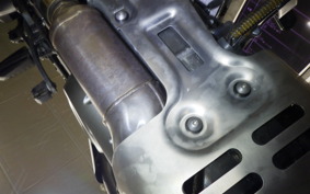 OTHER +HD. ﾊﾟﾝ AMERICA1250S 2022