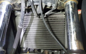 HONDA CBR125R 2025 JC50