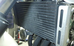 HONDA HORNET 250 2013 MC31