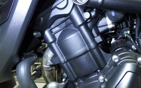 TRIUMPH TIGER 900 RALLY PRO 2026