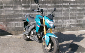 KAWASAKI Z125 PRO BR125H