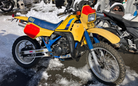 SUZUKI RH250 SJ11B