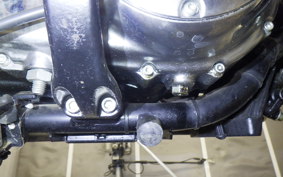 OTHER +HD. XL1200L-I 2010