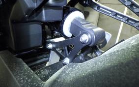 KAWASAKI Z900RS 2023 ZR900K