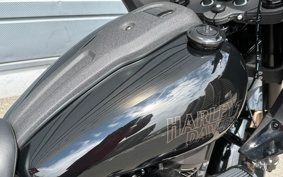 HARLEY FXLRST 2024 YXZ