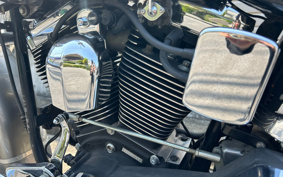 HARLEY FLSTC 2014 BJL