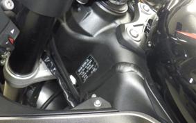 KAWASAKI NINJA ZX-6R A 2022 ZX636G