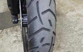 TRIUMPH TIGER 900 GT PRO 2023