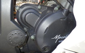 OTHER メガリ 250R