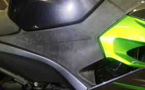 KAWASAKI NINJA 250 2022 EX250Y