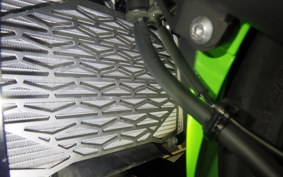 KAWASAKI NINJA 400 2018 EX400G