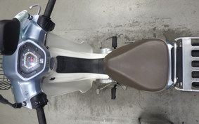 HONDA C110 SUPER CUB 2023 JA10