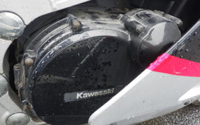 KAWASAKI ZX 10 NINJA ZXT00B