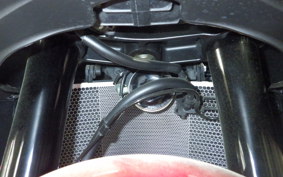 HONDA CBR600RR 2024 PC40