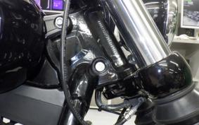 HARLEY FXBB1750 2019