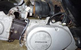 HONDA GORILLA Z50J