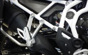 TRIUMPH TIGER 900 RALLY PRO 2022