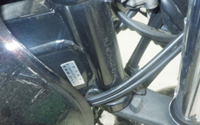 SUZUKI ST250E-TYPE 2020 NJ4CA