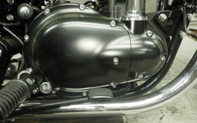 KAWASAKI W800 CAFE 2021 EJ800B