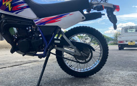 HARLEY FXLRST 2023 YXZ