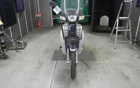 HONDA C110 SUPER CUB 2008 JA10