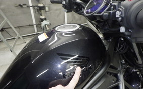 HONDA REBEL 1100 TD 2023 SC83