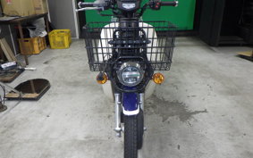 HONDA C110 SUPER CUB JA61