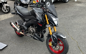 KAWASAKI Z125 PRO BR125H