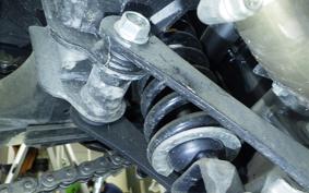 KAWASAKI NINJA 250 EX250L