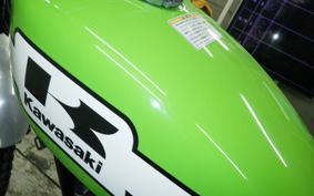 KAWASAKI 250TR 2018 BJ250F