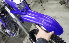 YAMAHA WR250R 2025 DG15J