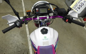 YAMAHA TT250R RAID 1997 4GY