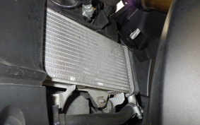 YAMAHA YZF-R15M