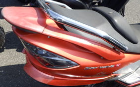 SUZUKI SKYWAVE 250 (Burgman 250) M CJ45A